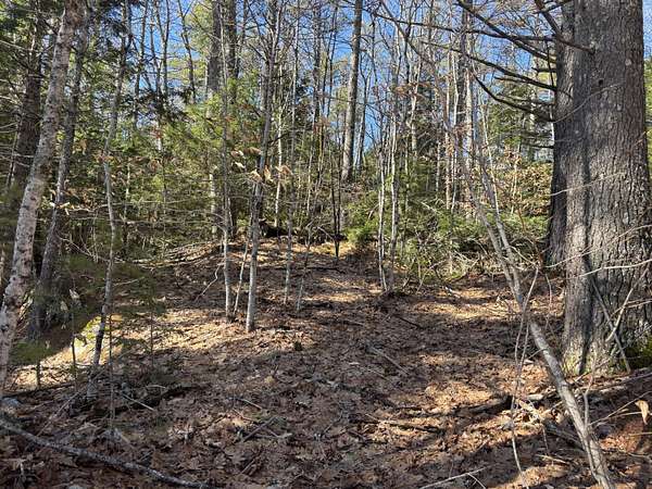 30 Acres of Recreational & Residential Land for Sale in Whitefield, Maine