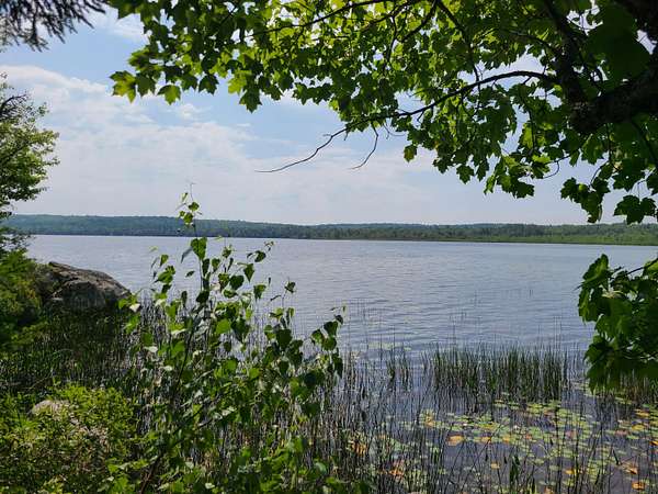 117 Acres of Recreational Land with Home for Sale in Charlotte, Maine