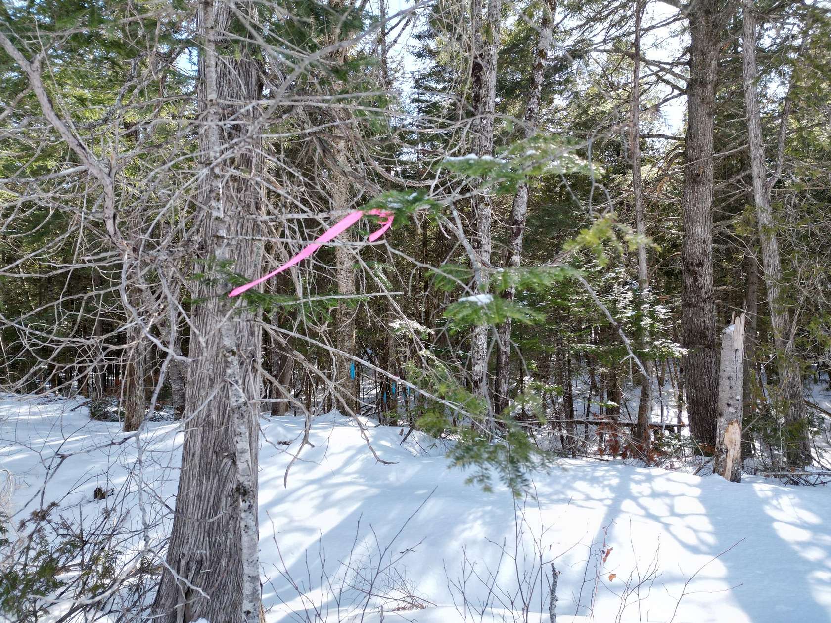 2.4 Acres of Residential Land for Sale in Lincoln, Maine