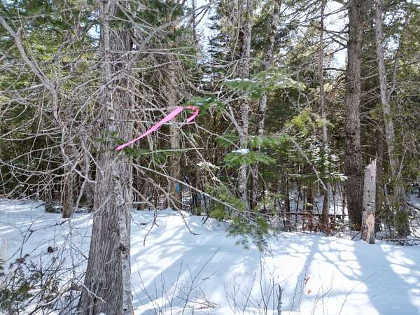 2.4 Acres of Residential Land for Sale in Lincoln, Maine