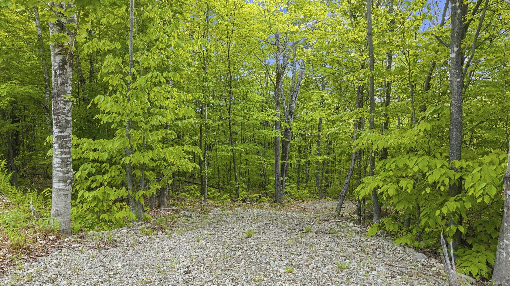 4.45 Acres of Residential Land for Sale in Kingfield, Maine