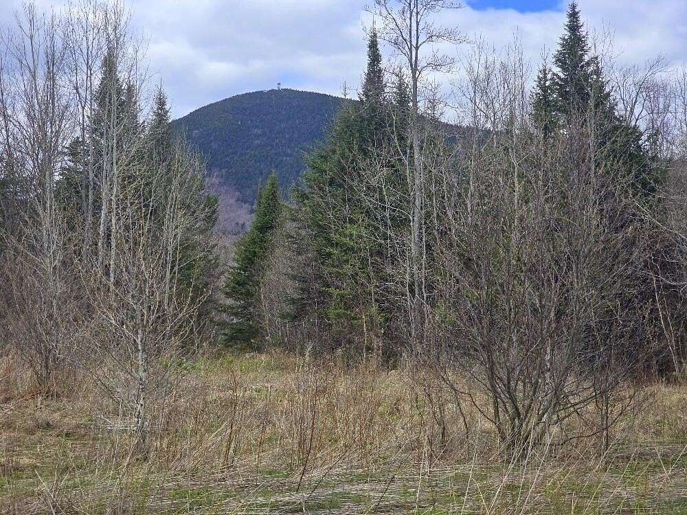 20.4 Acres of Land for Sale in Temple, Maine