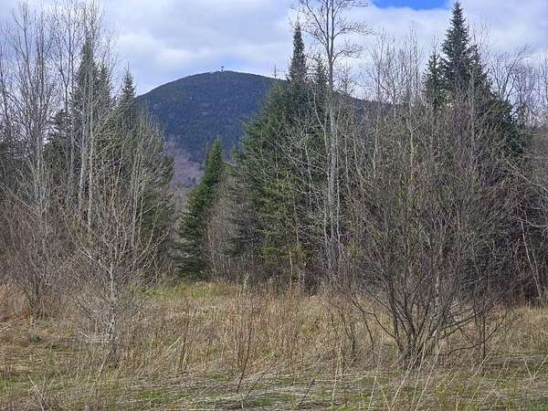 20.4 Acres of Land for Sale in Temple, Maine