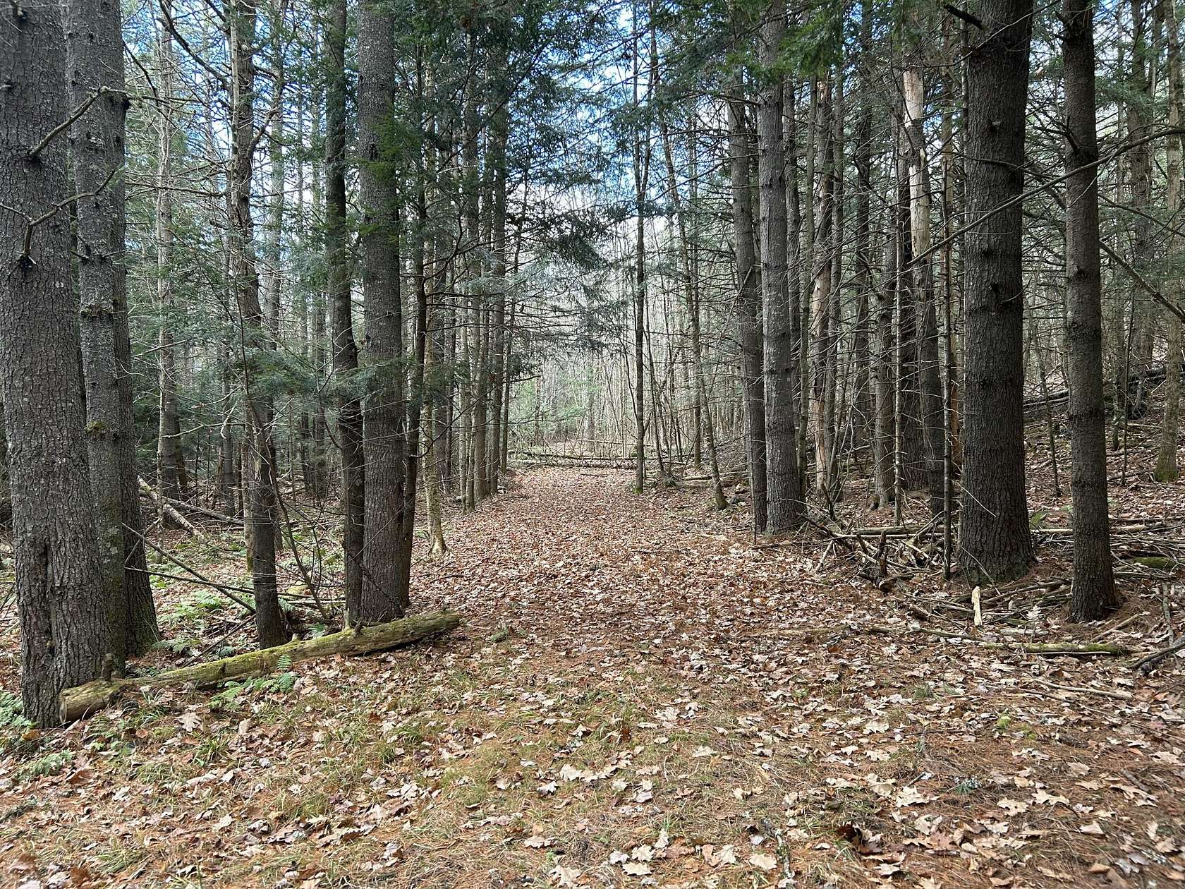 11 Acres of Land for Sale in Skowhegan, Maine