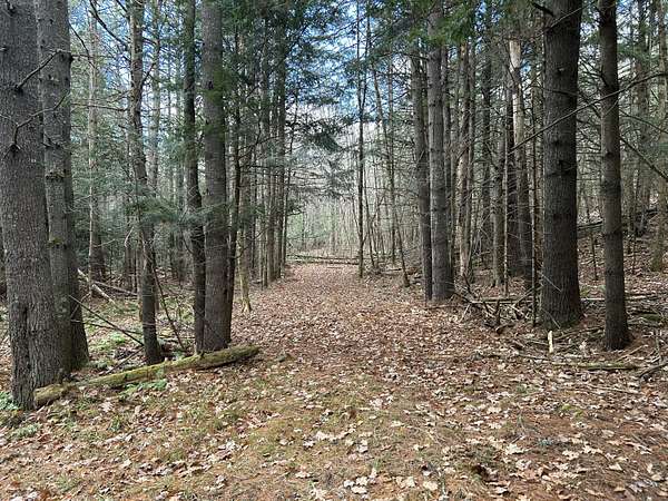 11 Acres of Land for Sale in Skowhegan, Maine