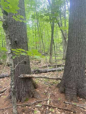 2.1 Acres of Land for Sale in Moscow, Maine