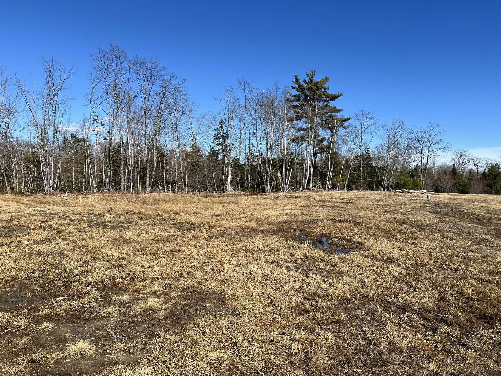 24.5 Acres of Land for Sale in Bucksport, Maine