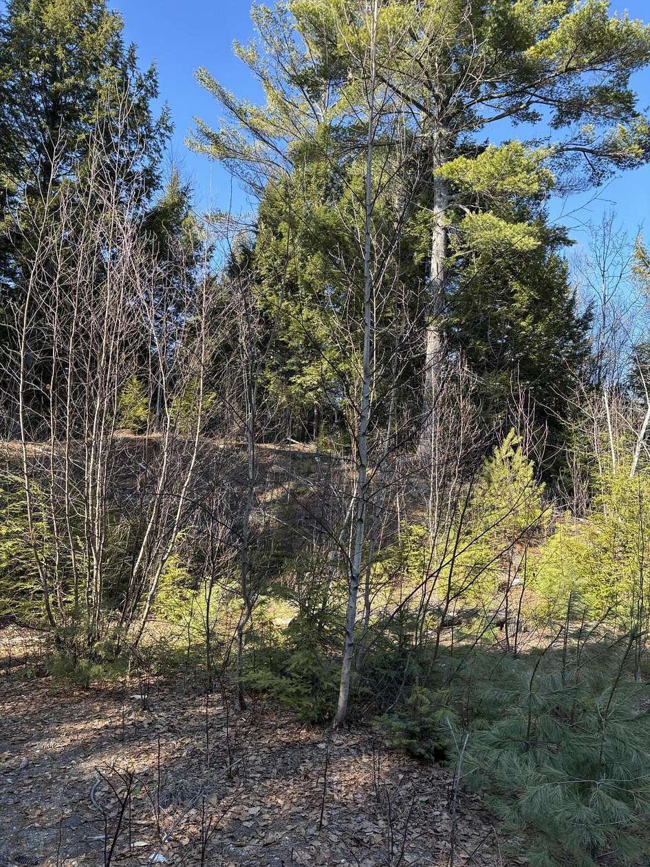1.73 Acres of Residential Land for Sale in West Paris, Maine