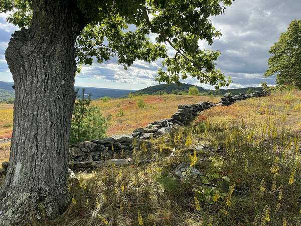 35 Acres of Land for Sale in Union, Maine