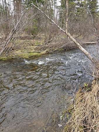 86 Acres of Recreational Land for Sale in Madawaska, Maine