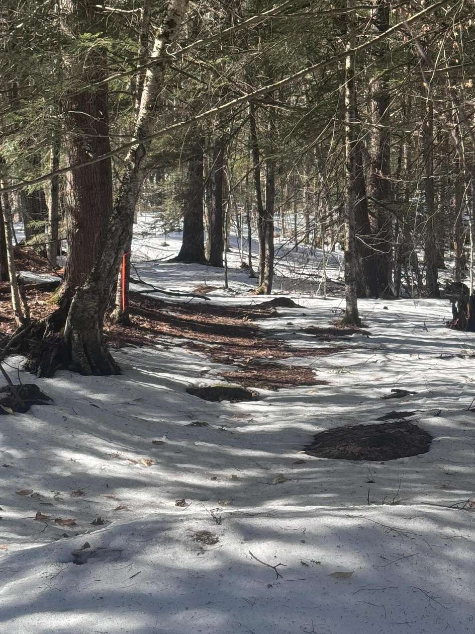 35 Acres of Recreational Land for Sale in Windham Town, Maine