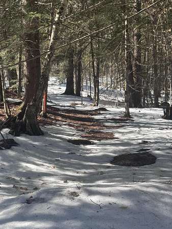 35 Acres of Recreational Land for Sale in Windham Town, Maine