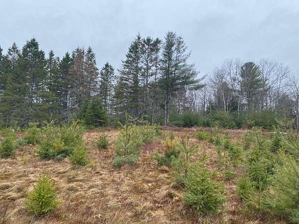 2 Acres of Residential Land for Sale in Holden, Maine