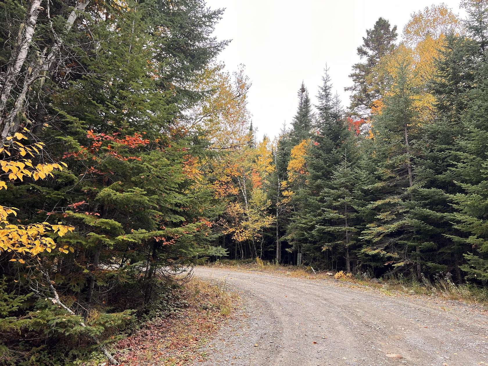 5 Acres of Residential Land for Sale in Dallas Plantation, Maine