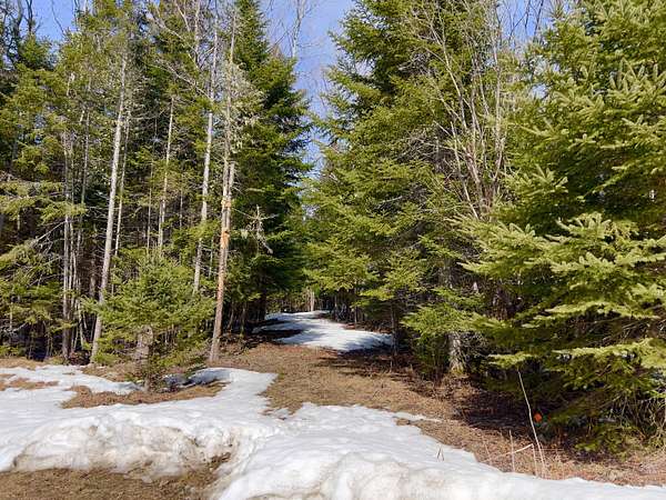 5 Acres of Residential Land for Sale in Dallas Plantation, Maine