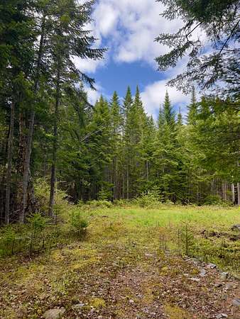 5 Acres of Residential Land for Sale in Dallas Plantation, Maine