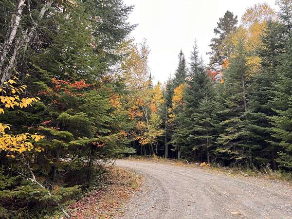 5 Acres of Residential Land for Sale in Dallas Plantation, Maine