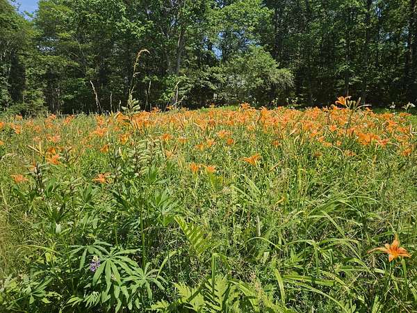 2.6 Acres of Land with Home for Sale in Damariscotta, Maine