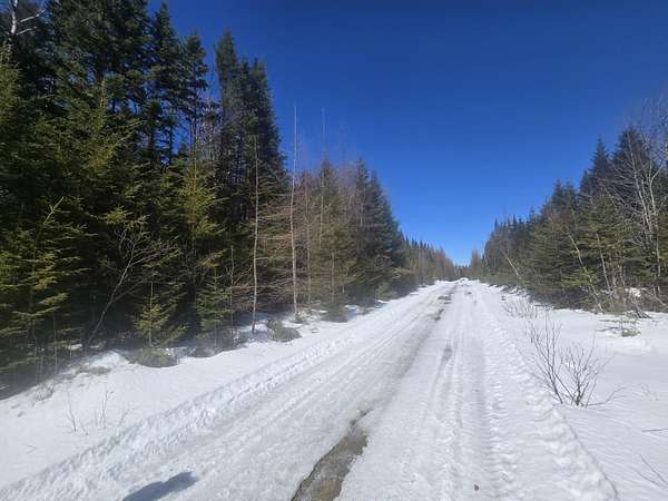 46 Acres of Recreational & Residential Land for Sale in Connor Township, Maine