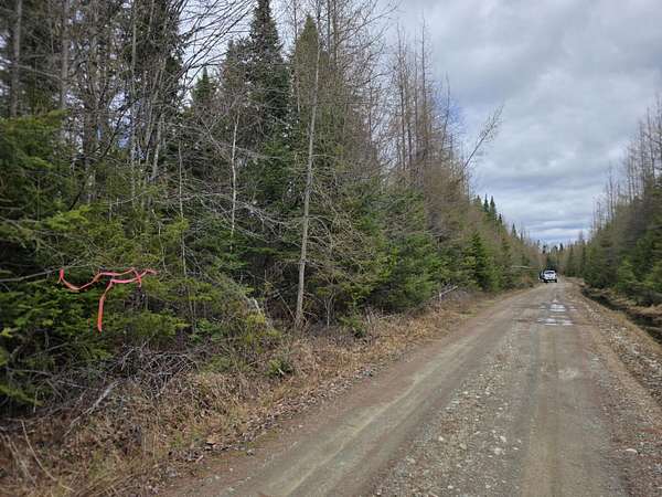 39 Acres of Recreational & Residential Land for Sale in Connor Township, Maine