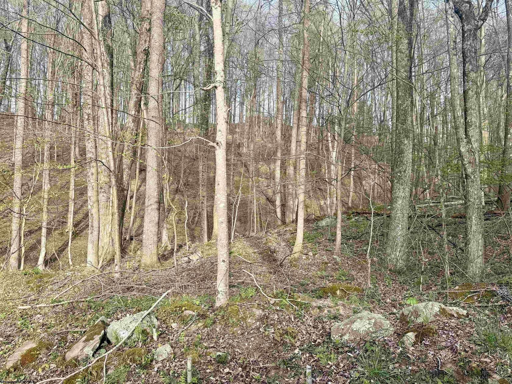 Residential Land for Sale in Grafton, West Virginia