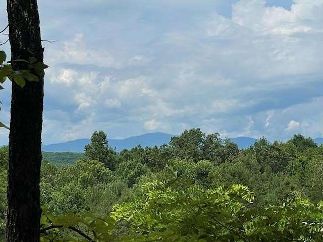 19.3 Acres of Land for Sale in Morganton, Georgia
