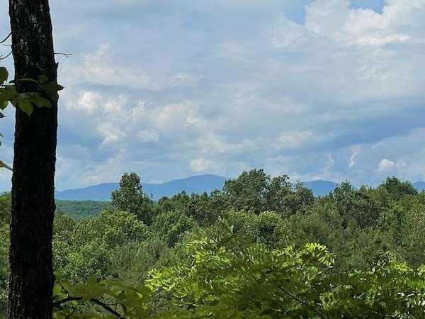 19.3 Acres of Land for Sale in Morganton, Georgia