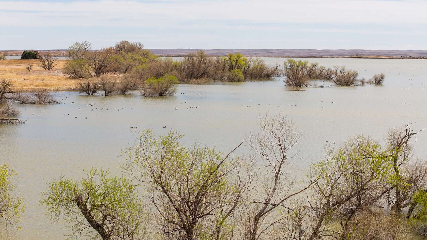 43 Acres of Improved Land for Sale in Crook, Colorado