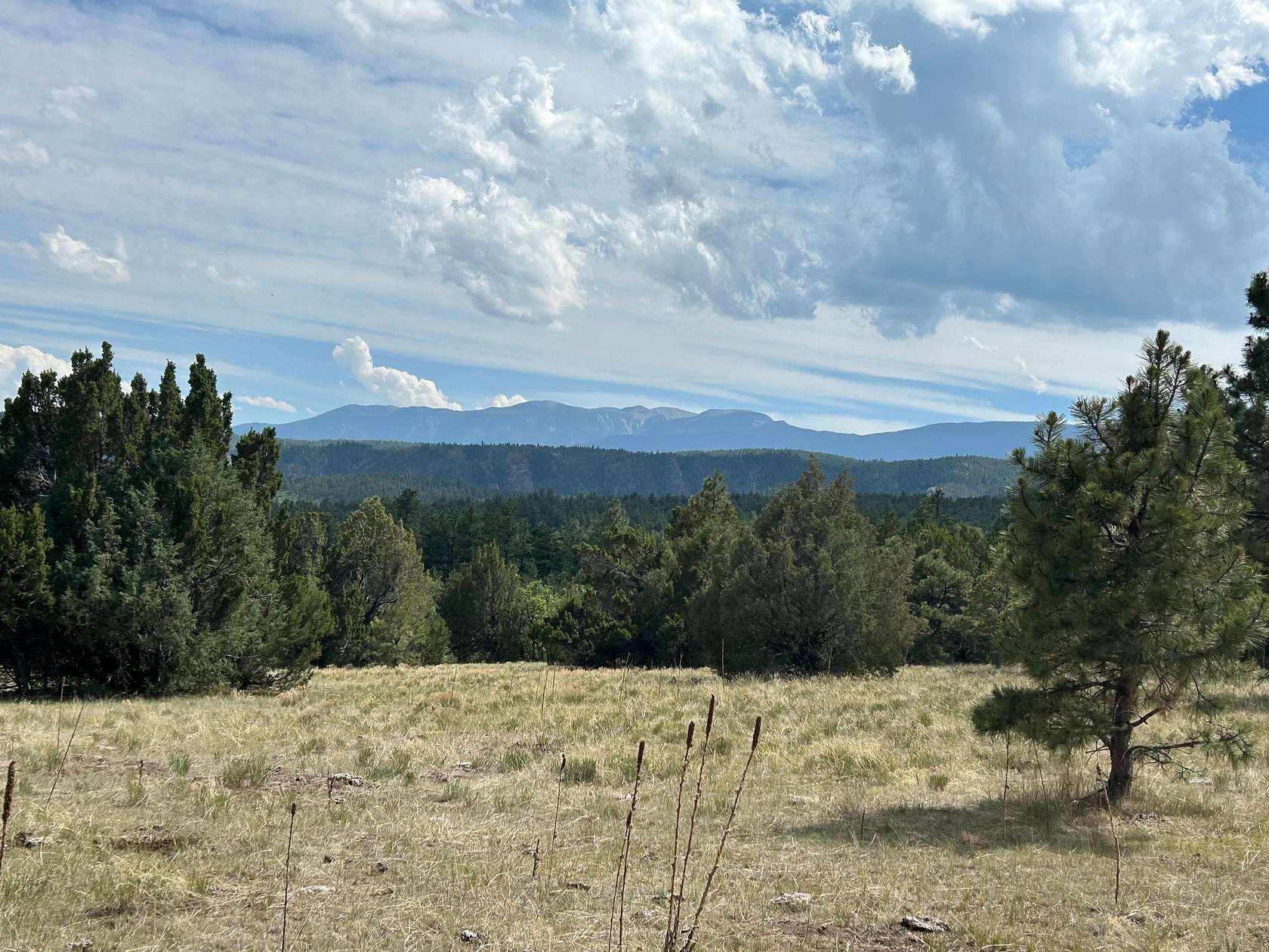 40.1 Acres of Recreational Land for Sale in Beulah, Colorado
