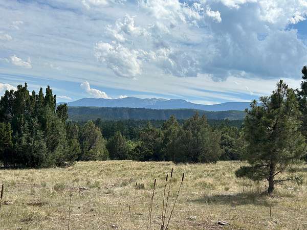 40.1 Acres of Recreational Land for Sale in Beulah, Colorado