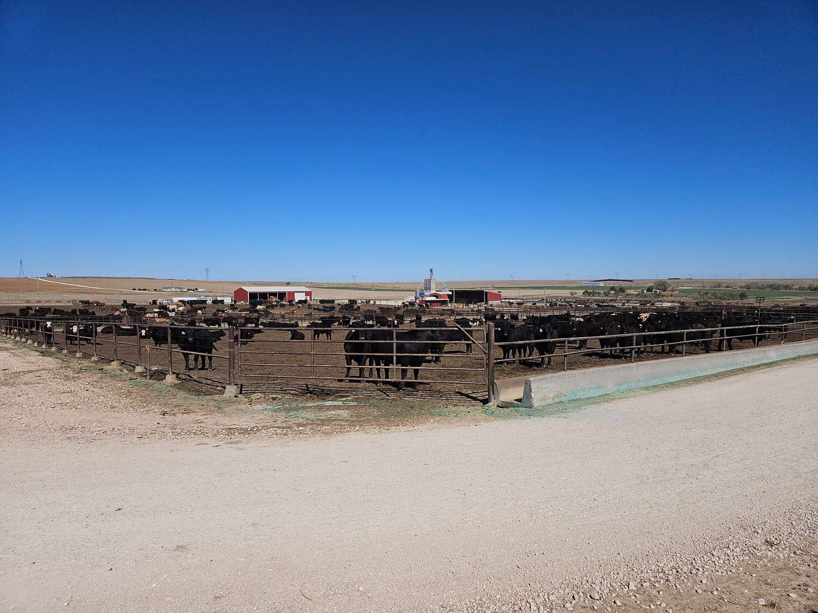 207 Acres of Land for Sale in Scott City, Kansas