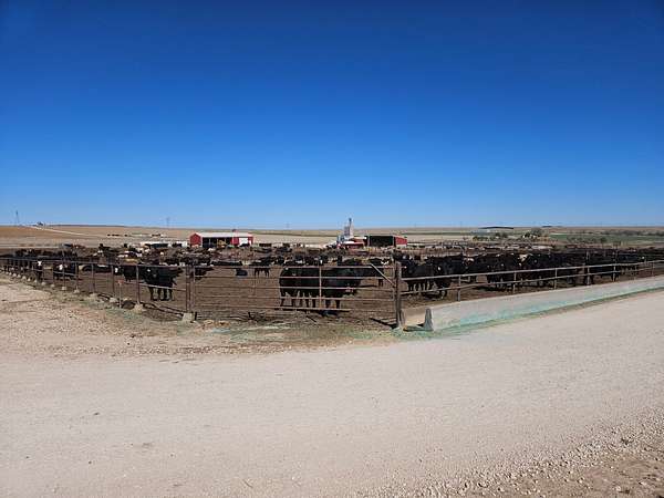 207 Acres of Land for Sale in Scott City, Kansas