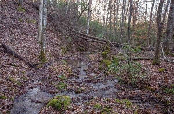 36.8 Acres of Land for Sale in Morganton, Georgia