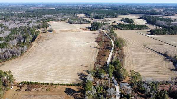 72.5 Acres of Agricultural & Residential Land for Sale in Nichols, South Carolina