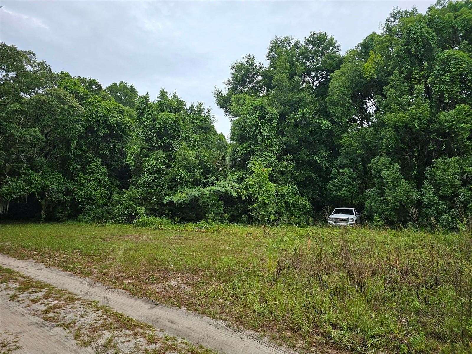 0.58 Acres of Residential Land for Sale in Ocklawaha, Florida