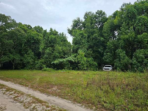 0.58 Acres of Residential Land for Sale in Ocklawaha, Florida