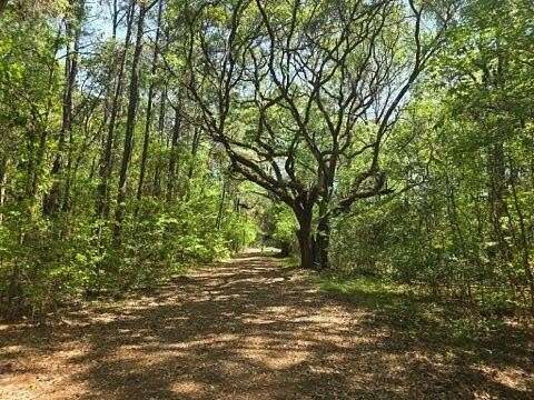 2.1 Acres of Residential Land for Sale in Wadmalaw Island, South Carolina