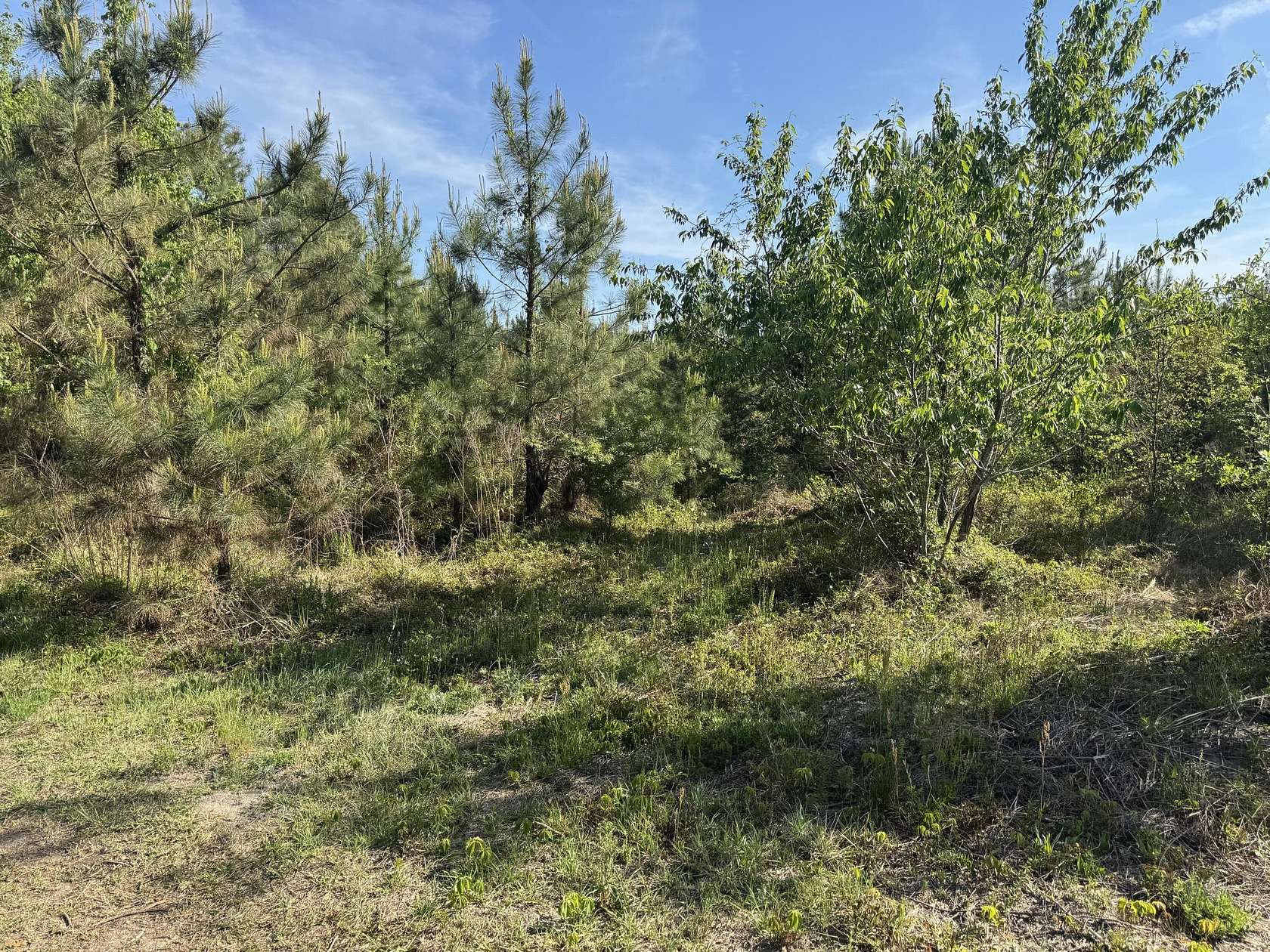 3.74 Acres of Residential Land for Sale in Rembert, South Carolina