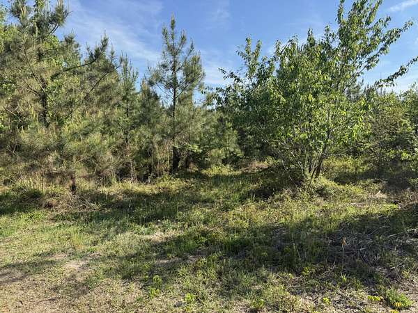 3.74 Acres of Residential Land for Sale in Rembert, South Carolina