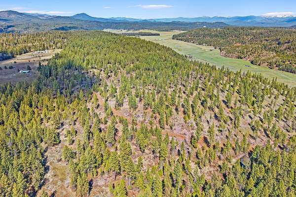 20.3 Acres of Recreational & Residential Land for Sale in Springdale, Washington
