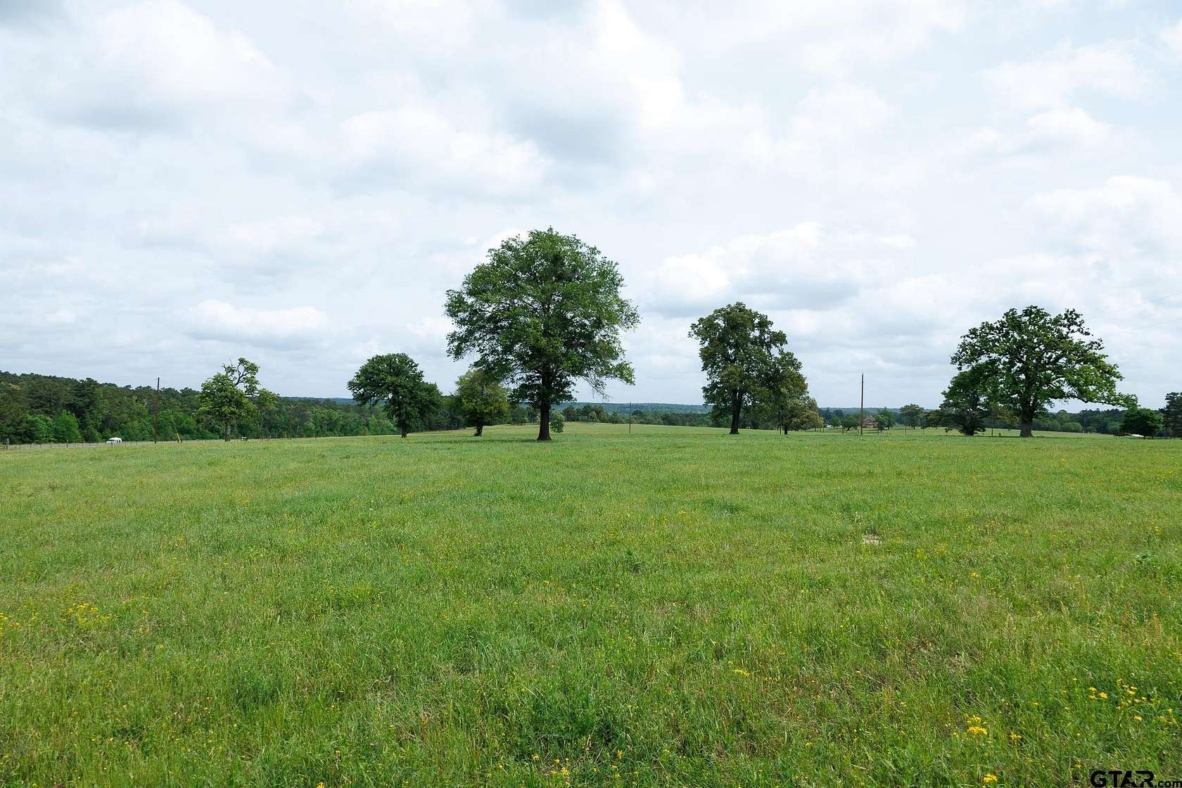41.5 Acres of Recreational & Residential Land for Sale in Palestine, Texas
