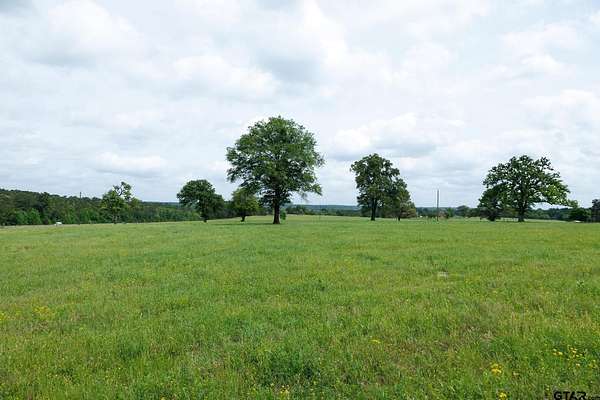 41.5 Acres of Recreational & Residential Land for Sale in Palestine, Texas