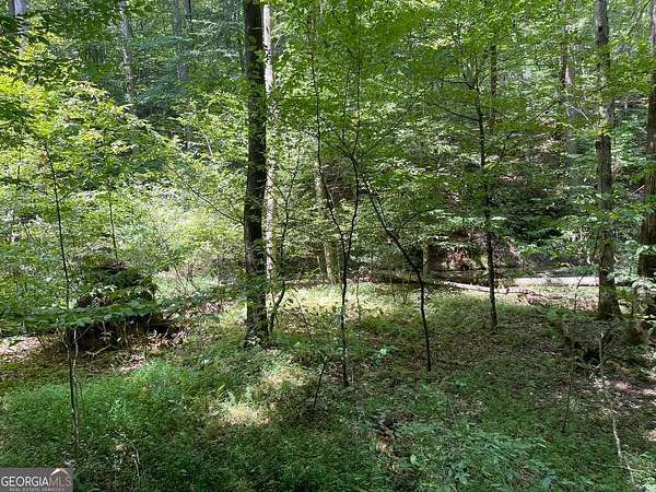 0.75 Acres of Land for Sale in Ellijay, Georgia