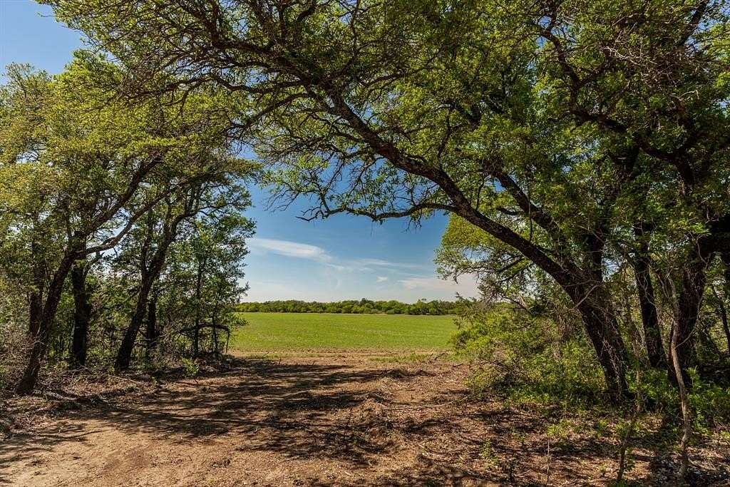 122 Acres of Land for Sale in Coleman, Texas