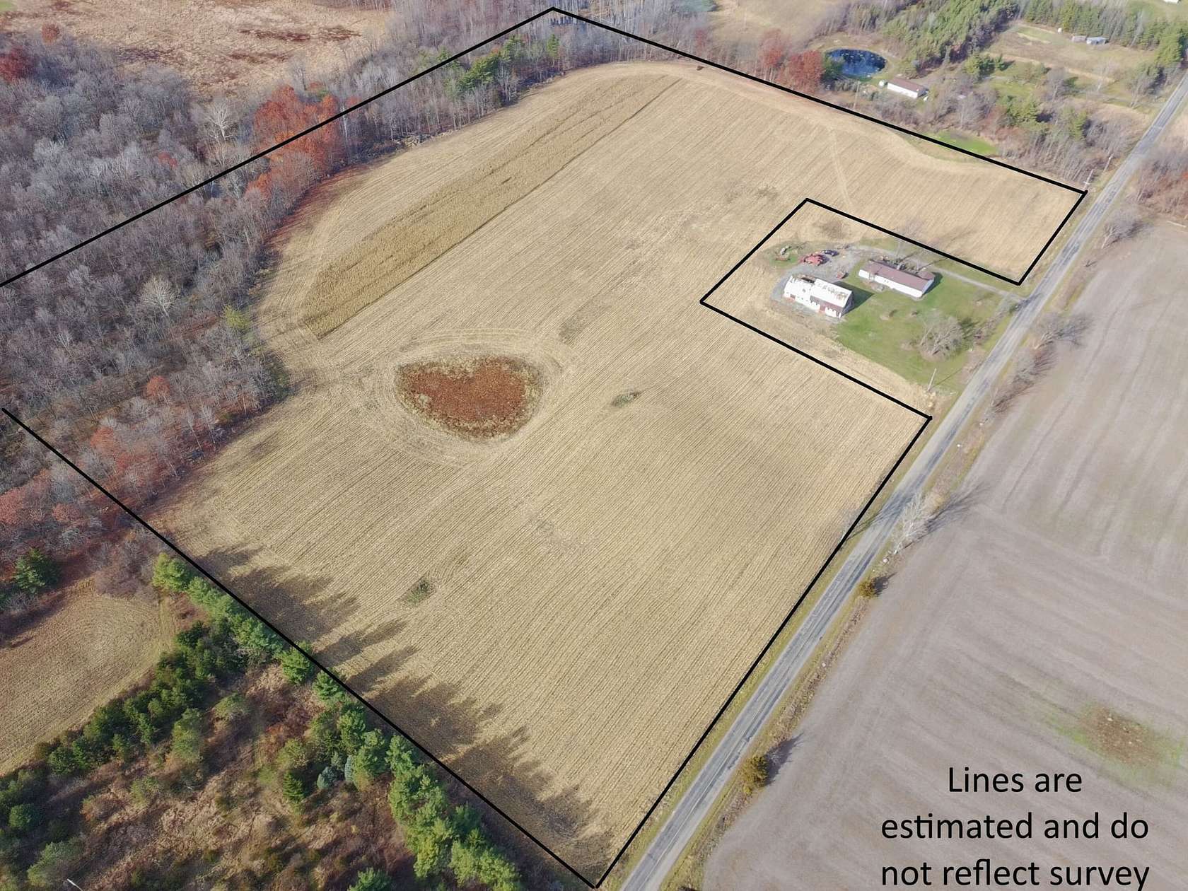 35 Acres of Land for Sale in Pittsford, Michigan