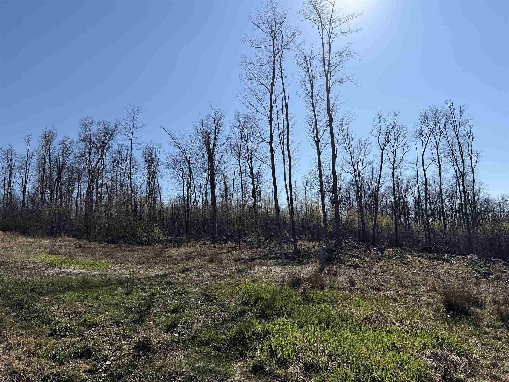10 Acres of Residential Land for Sale in Bruceton Mills, West Virginia