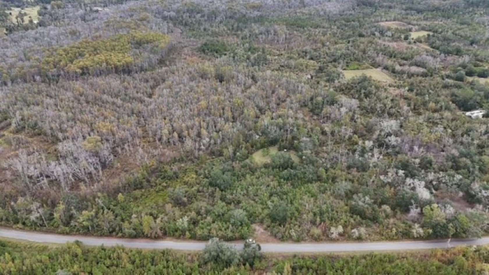 13 Acres of Recreational Land for Sale in Madison, Florida