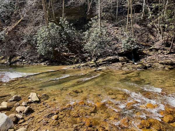 60.5 Acres of Recreational & Residential Land for Sale in Dungannon, Virginia