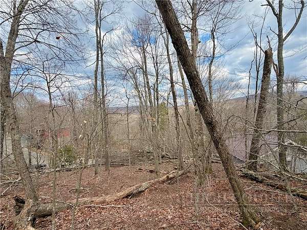 0.37 Acres of Residential Land for Sale in Beech Mountain, North Carolina