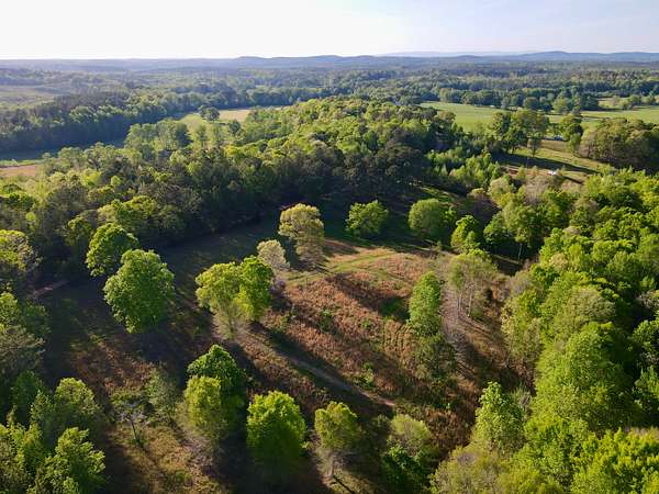 25 Acres of Land for Sale in Cragford, Alabama
